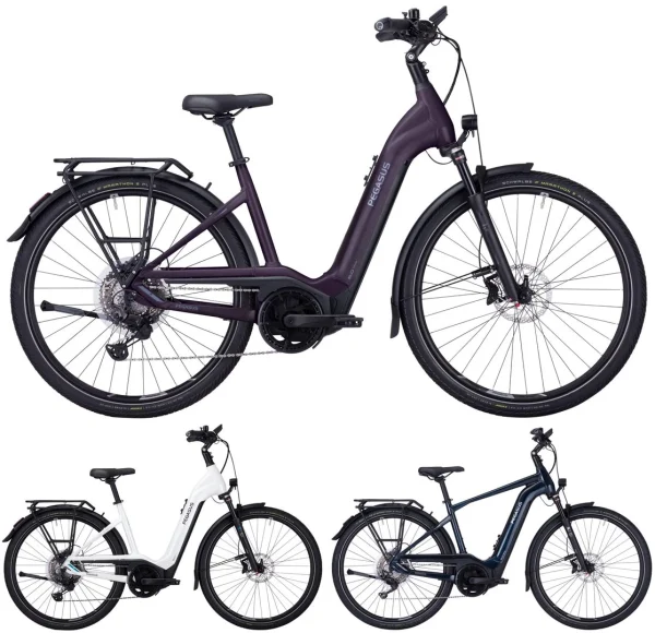 Pegasus Premio-Evo-11 “40 Years” 750 2022 1