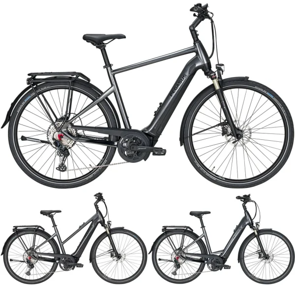 Pegasus Premio-Evo-12 Lite 2020 1