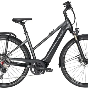 Pegasus Premio-Evo-12 Lite 2020 10
