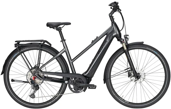 Pegasus Premio-Evo-12 Lite 2020 4