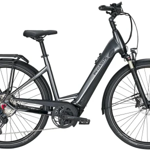 Pegasus Premio-Evo-12 Lite 2020 12