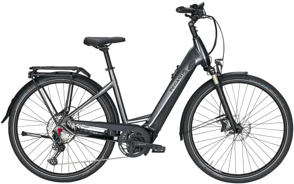 Pegasus Premio-Evo-12 Lite 2020 5