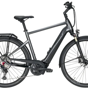 Pegasus Premio-Evo-12 Lite 2020 8