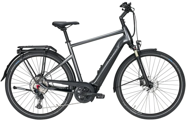 Pegasus Premio-Evo-12 Lite 2020 3