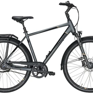 Pegasus Premio SL-Belt 2020-2021 8-Gang 8