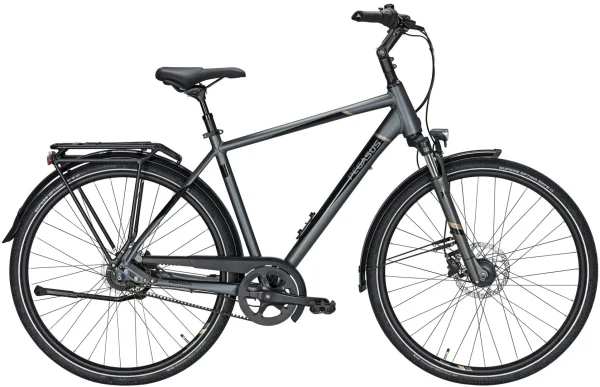 Pegasus Premio SL-Belt 2020-2021 8-Gang 3