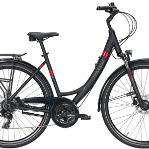 Pegasus Solero-Disc 2020/2021 24-Gang 19