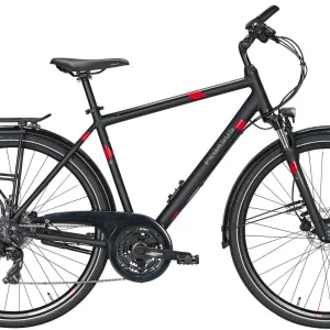Pegasus Solero-Disc 2020/2021 24-Gang 11